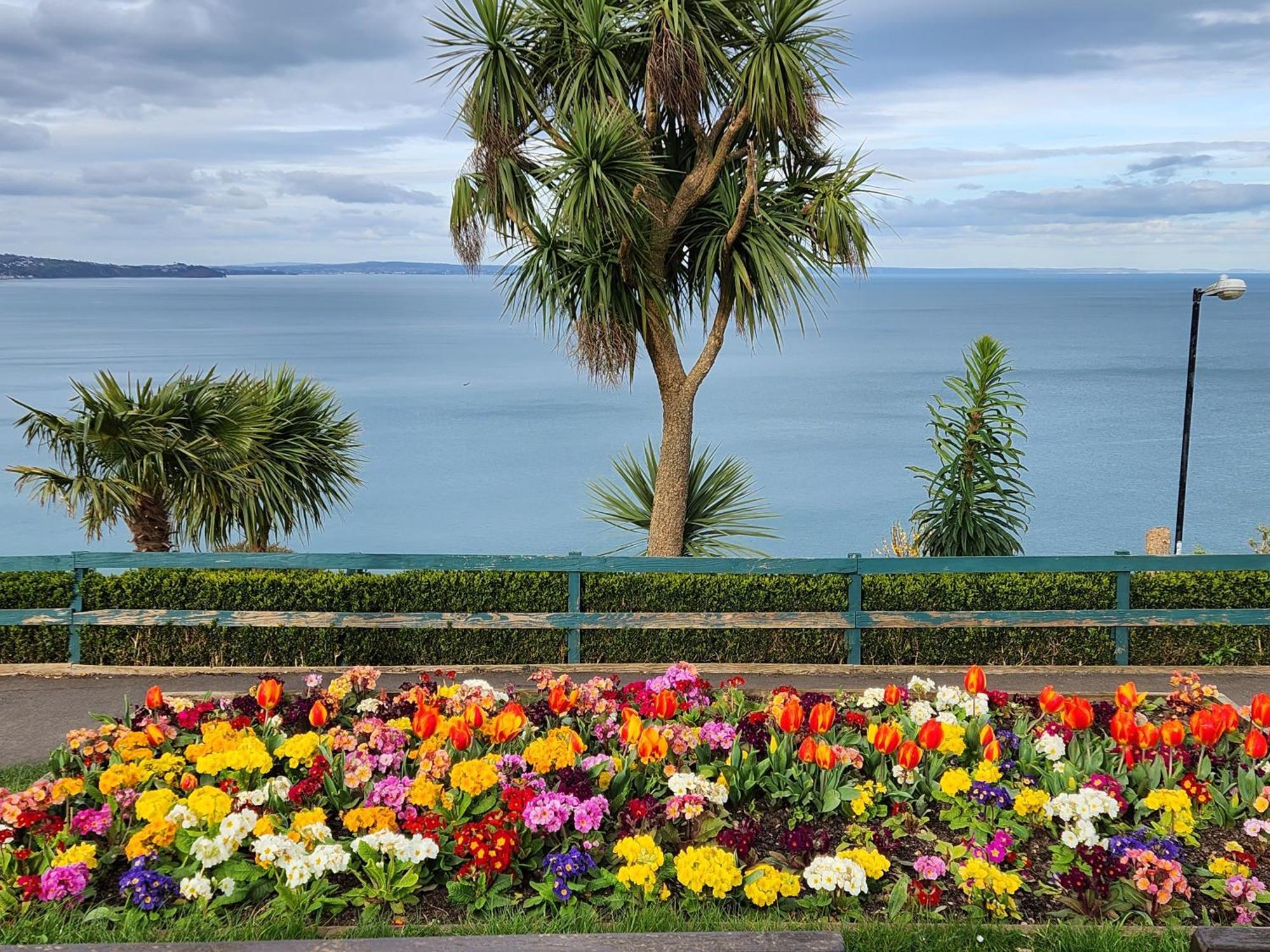Rose Court Holiday Apartments Torquay Bagian luar foto
