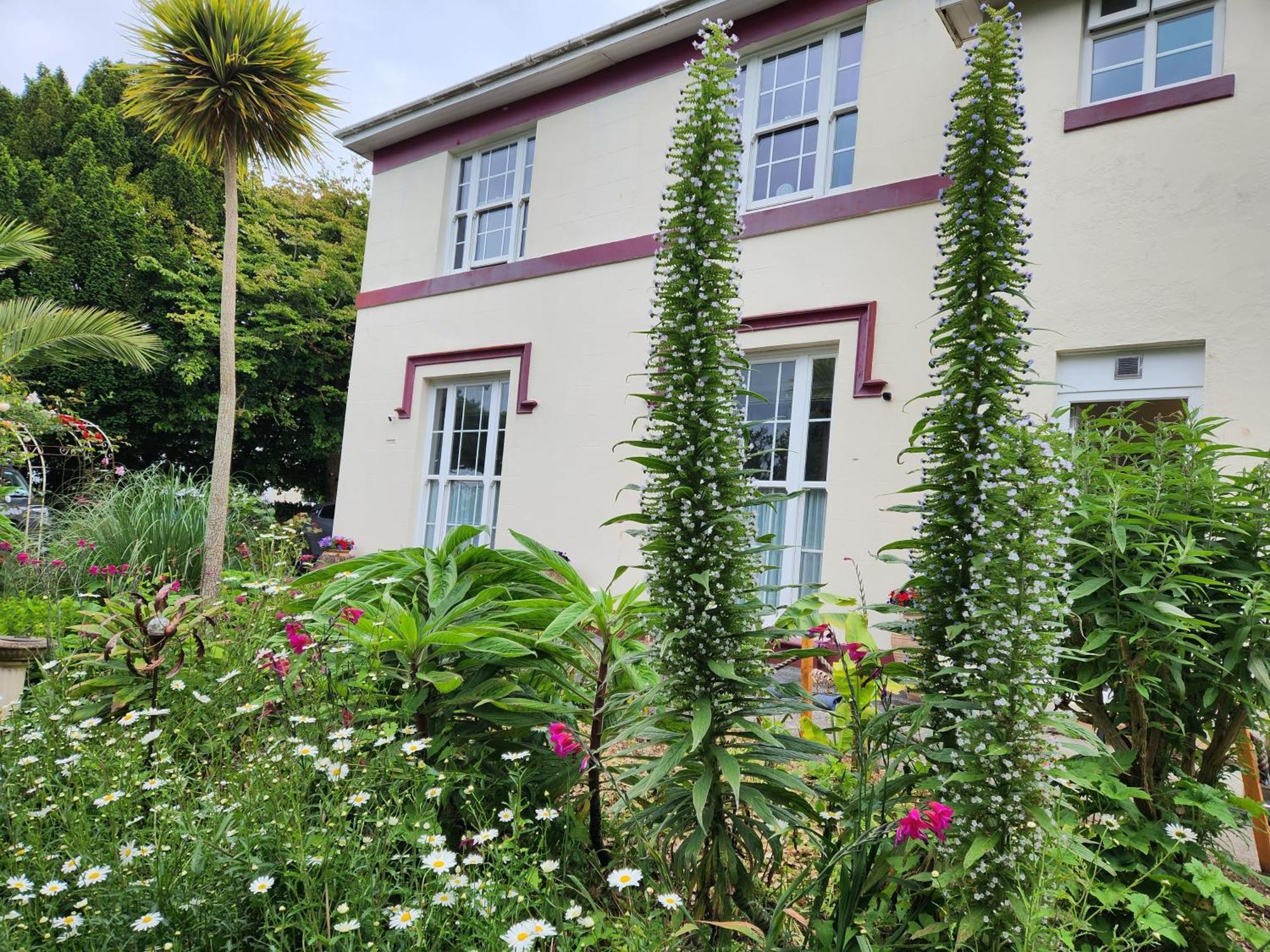 Rose Court Holiday Apartments Torquay Bagian luar foto