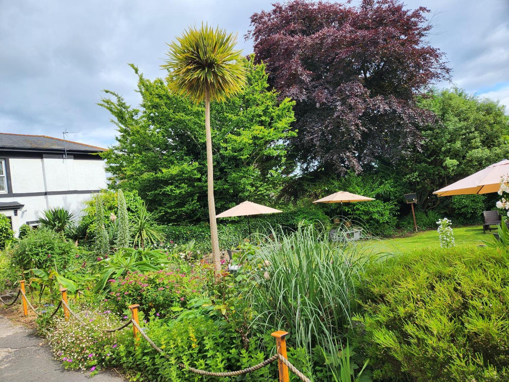 Rose Court Holiday Apartments Torquay Bagian luar foto
