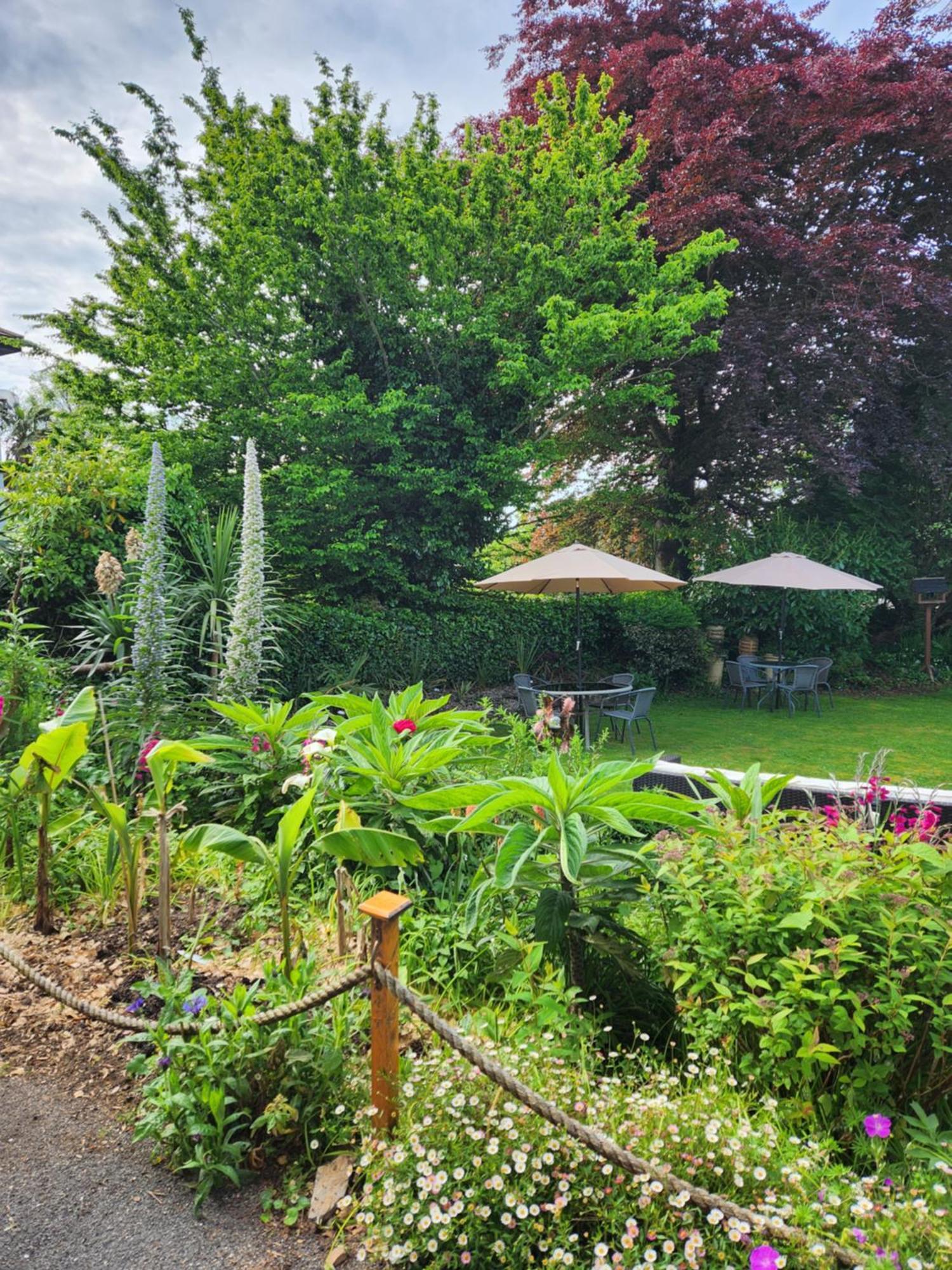 Rose Court Holiday Apartments Torquay Bagian luar foto