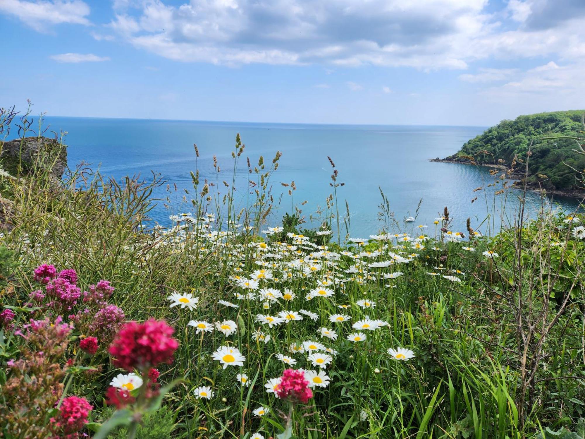 Rose Court Holiday Apartments Torquay Bagian luar foto