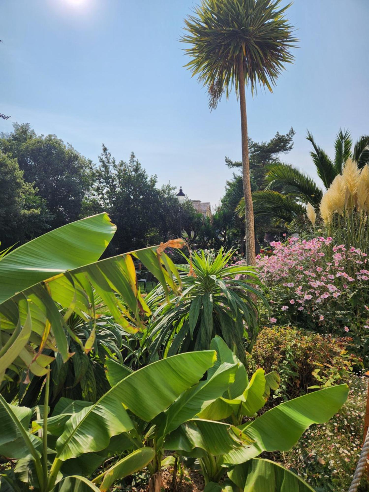 Rose Court Holiday Apartments Torquay Bagian luar foto