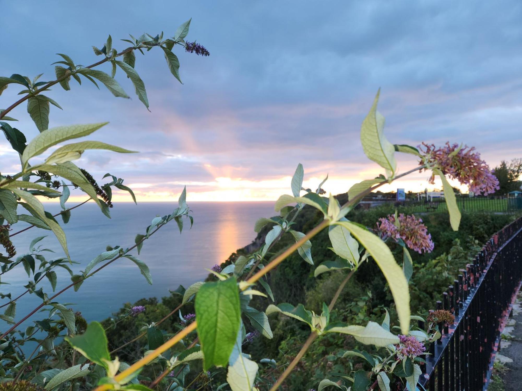 Rose Court Holiday Apartments Torquay Bagian luar foto