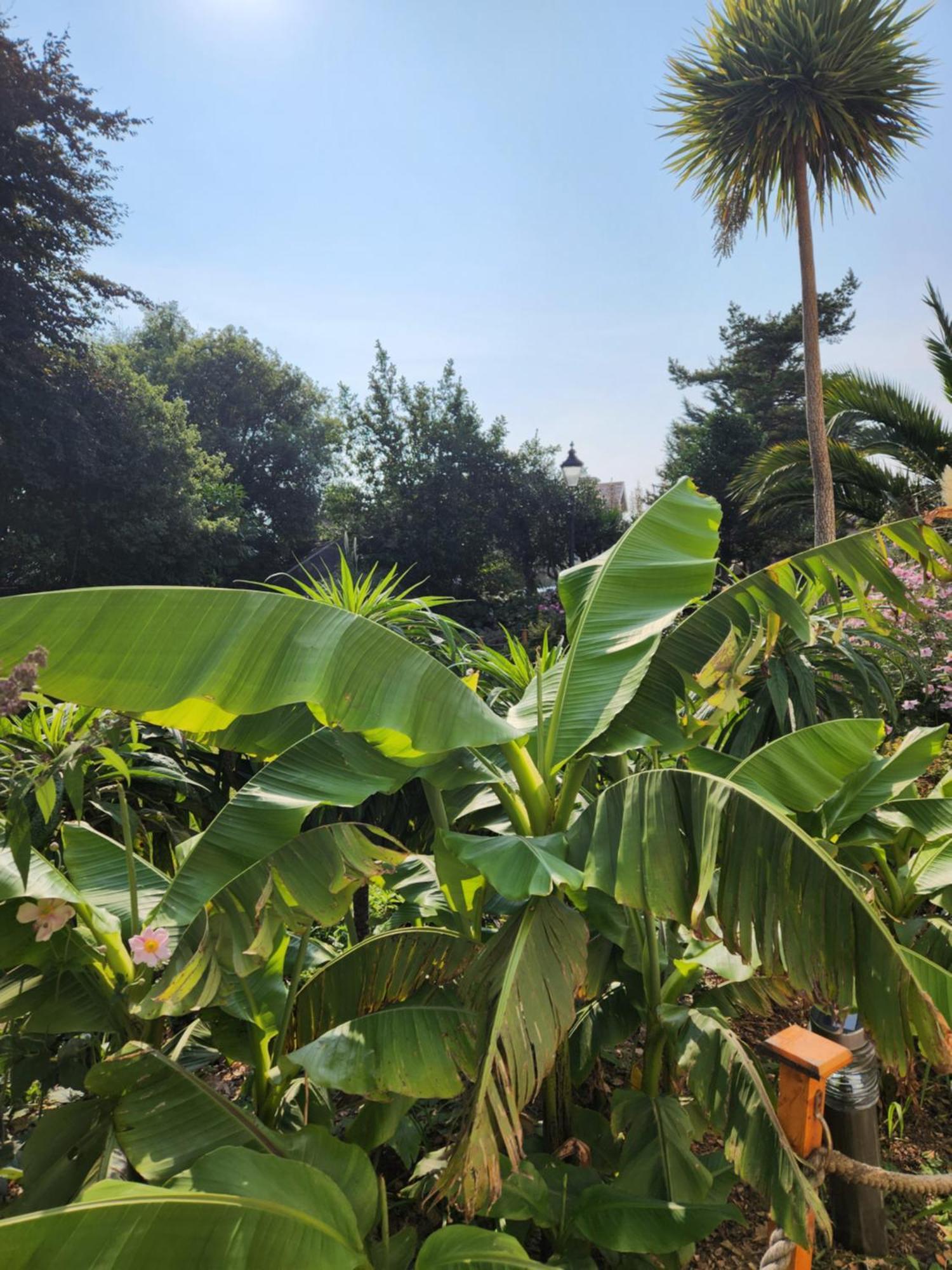 Rose Court Holiday Apartments Torquay Bagian luar foto